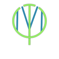 Автономная некоммерческая организация «Многопрофильный центр социально-культурных проектов «Фестиваль»